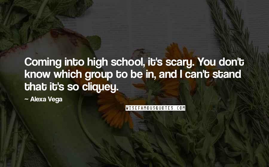 Alexa Vega Quotes: Coming into high school, it's scary. You don't know which group to be in, and I can't stand that it's so cliquey.