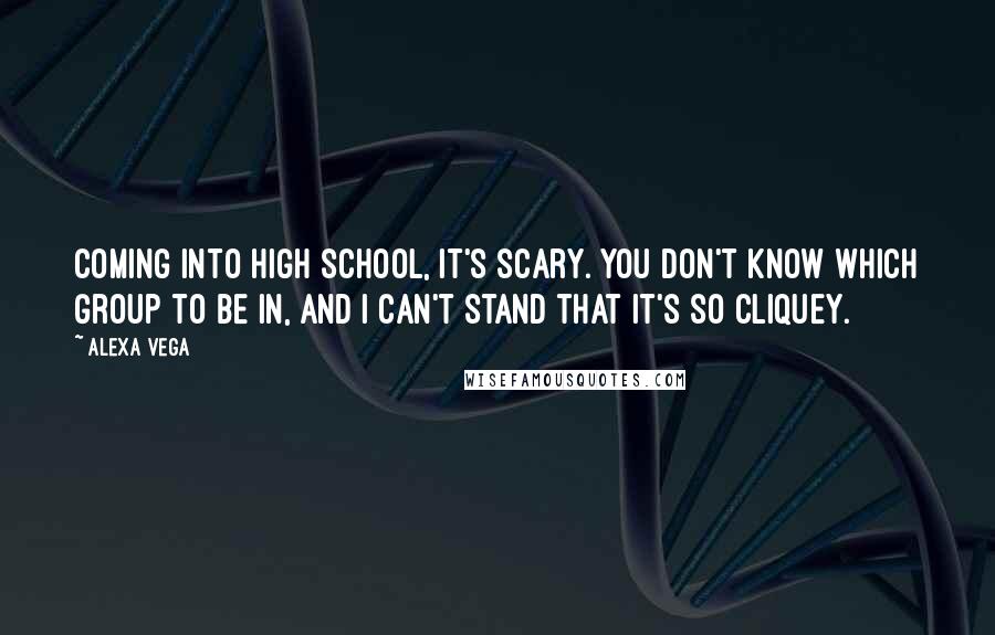 Alexa Vega Quotes: Coming into high school, it's scary. You don't know which group to be in, and I can't stand that it's so cliquey.