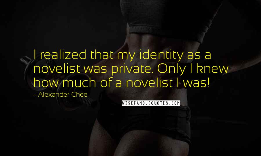 Alexander Chee Quotes: I realized that my identity as a novelist was private. Only I knew how much of a novelist I was!