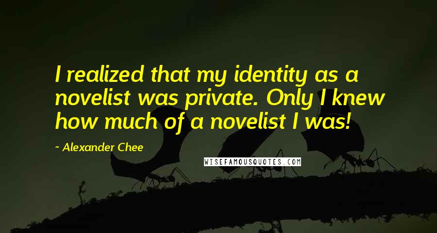 Alexander Chee Quotes: I realized that my identity as a novelist was private. Only I knew how much of a novelist I was!