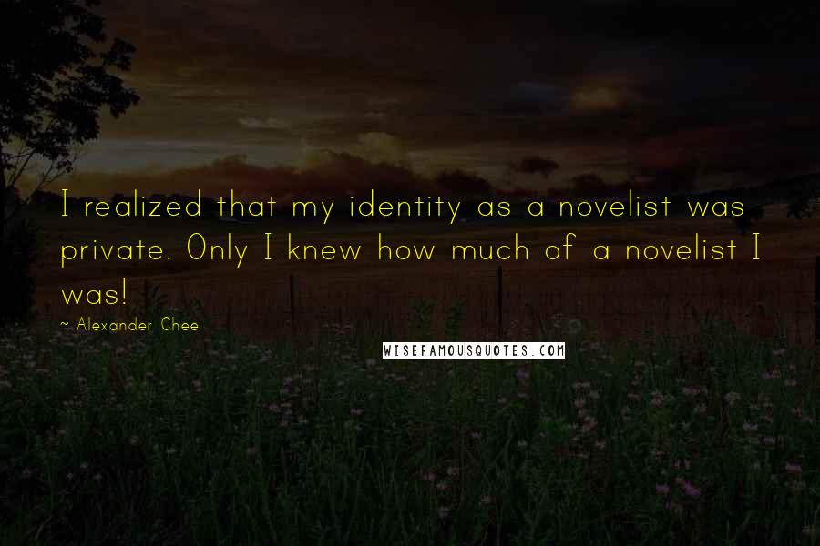 Alexander Chee Quotes: I realized that my identity as a novelist was private. Only I knew how much of a novelist I was!