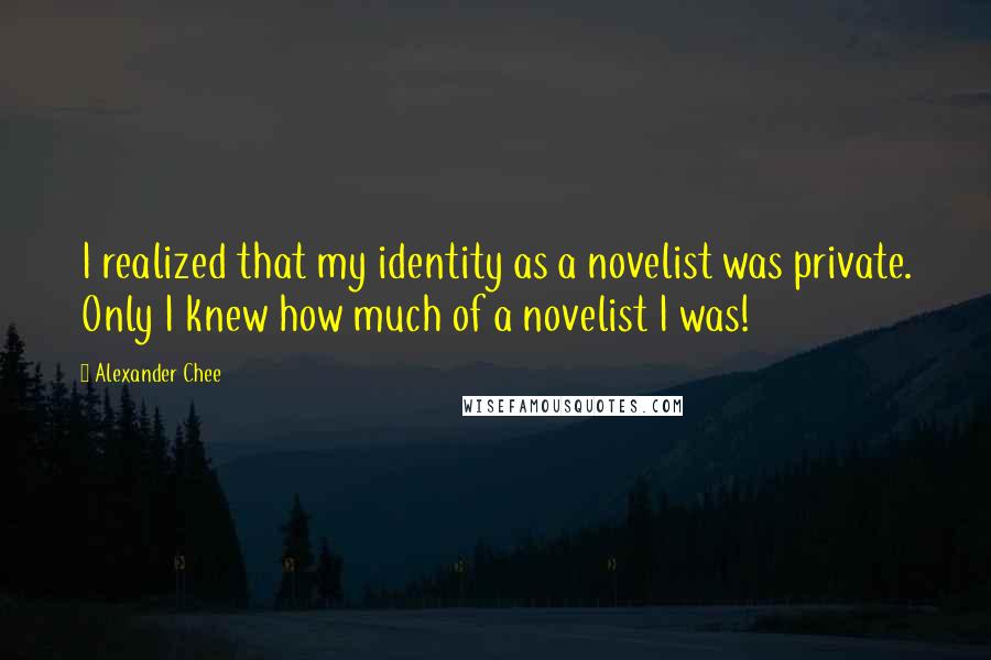 Alexander Chee Quotes: I realized that my identity as a novelist was private. Only I knew how much of a novelist I was!