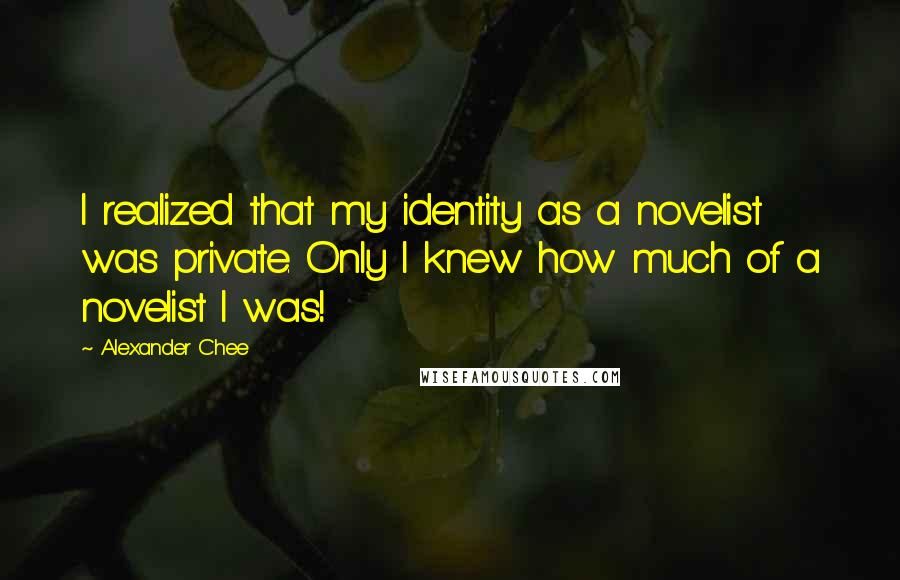 Alexander Chee Quotes: I realized that my identity as a novelist was private. Only I knew how much of a novelist I was!