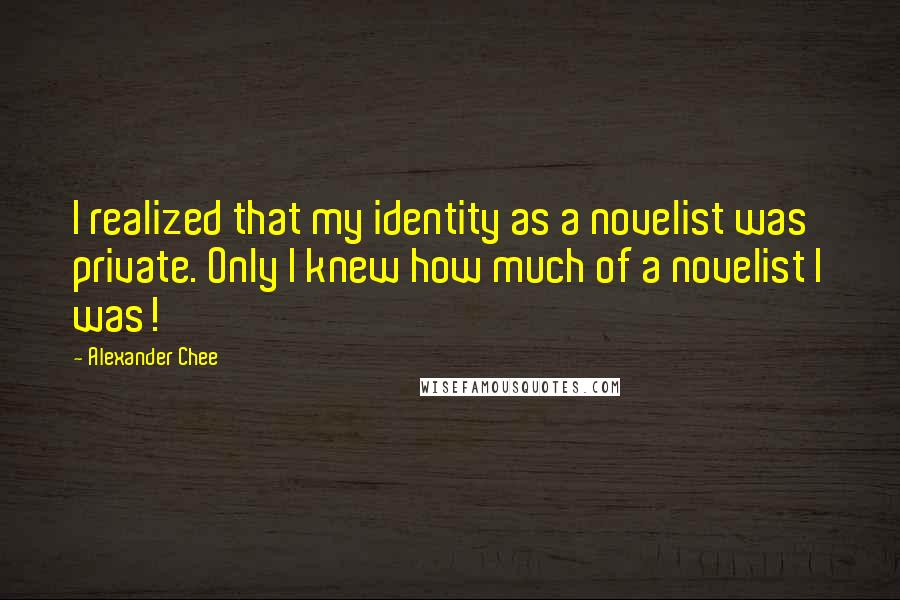 Alexander Chee Quotes: I realized that my identity as a novelist was private. Only I knew how much of a novelist I was!