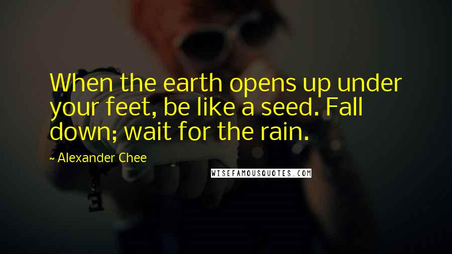 Alexander Chee Quotes: When the earth opens up under your feet, be like a seed. Fall down; wait for the rain.