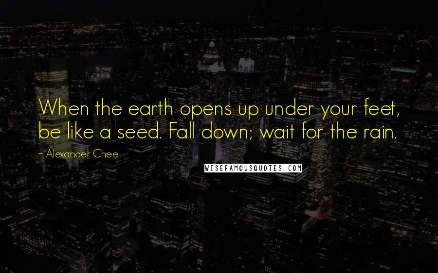 Alexander Chee Quotes: When the earth opens up under your feet, be like a seed. Fall down; wait for the rain.