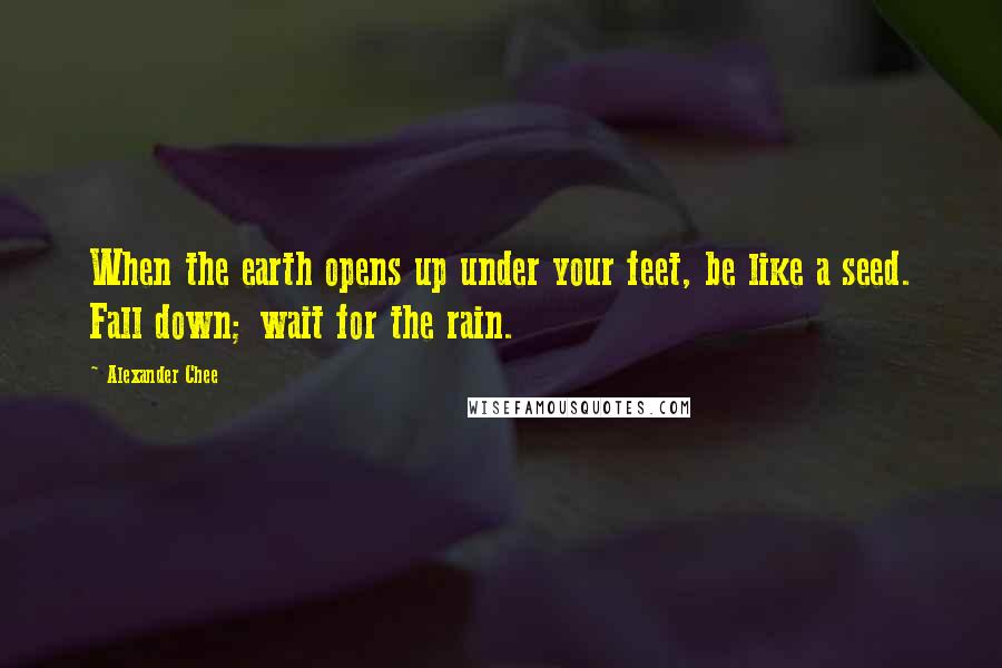 Alexander Chee Quotes: When the earth opens up under your feet, be like a seed. Fall down; wait for the rain.