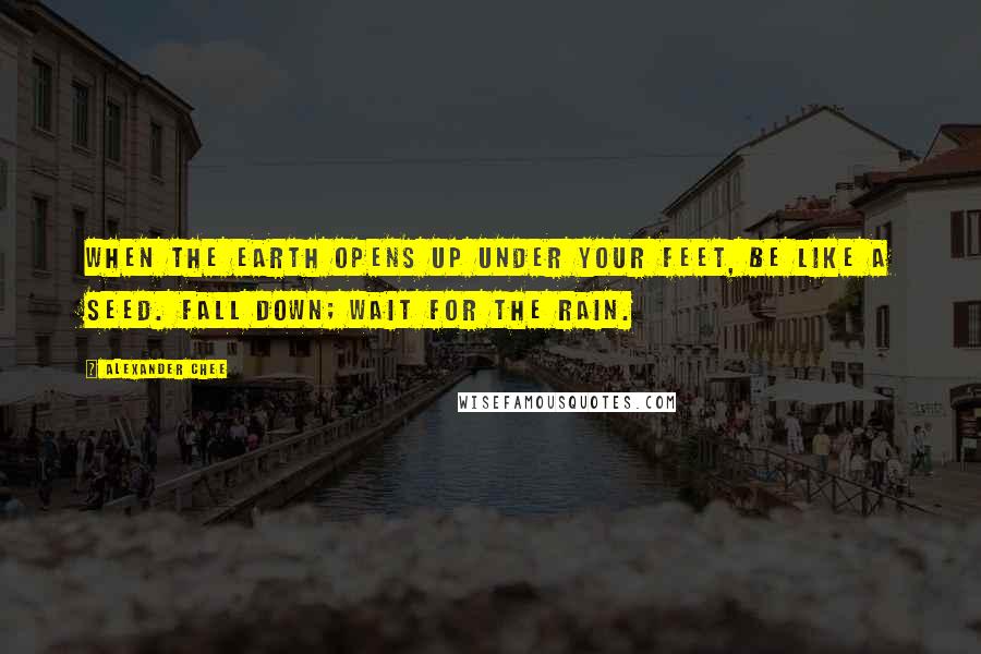 Alexander Chee Quotes: When the earth opens up under your feet, be like a seed. Fall down; wait for the rain.