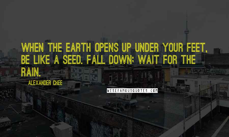 Alexander Chee Quotes: When the earth opens up under your feet, be like a seed. Fall down; wait for the rain.