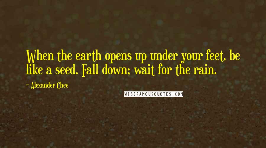 Alexander Chee Quotes: When the earth opens up under your feet, be like a seed. Fall down; wait for the rain.