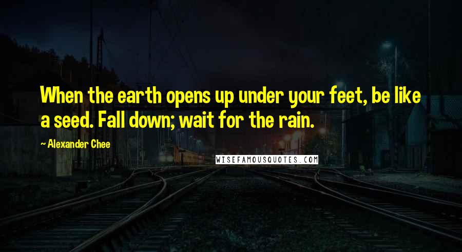 Alexander Chee Quotes: When the earth opens up under your feet, be like a seed. Fall down; wait for the rain.