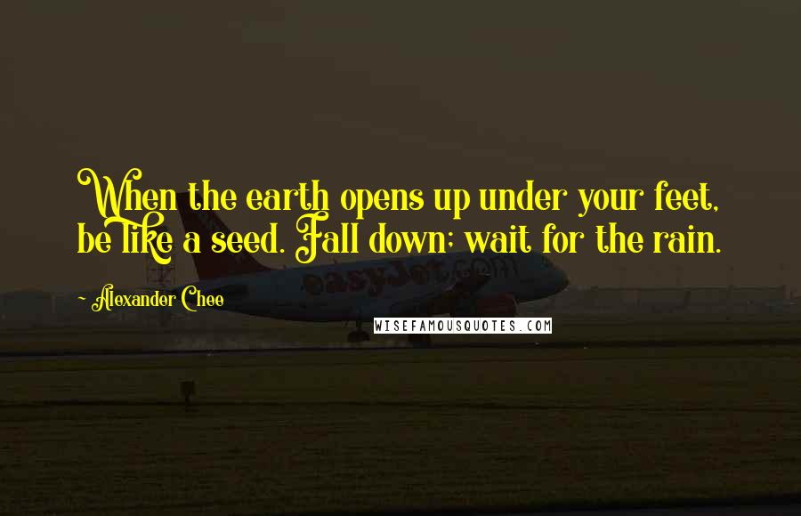 Alexander Chee Quotes: When the earth opens up under your feet, be like a seed. Fall down; wait for the rain.