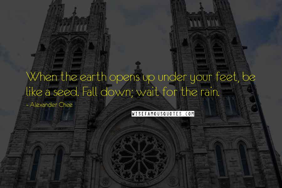 Alexander Chee Quotes: When the earth opens up under your feet, be like a seed. Fall down; wait for the rain.
