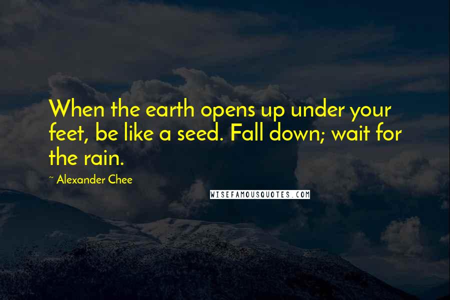 Alexander Chee Quotes: When the earth opens up under your feet, be like a seed. Fall down; wait for the rain.