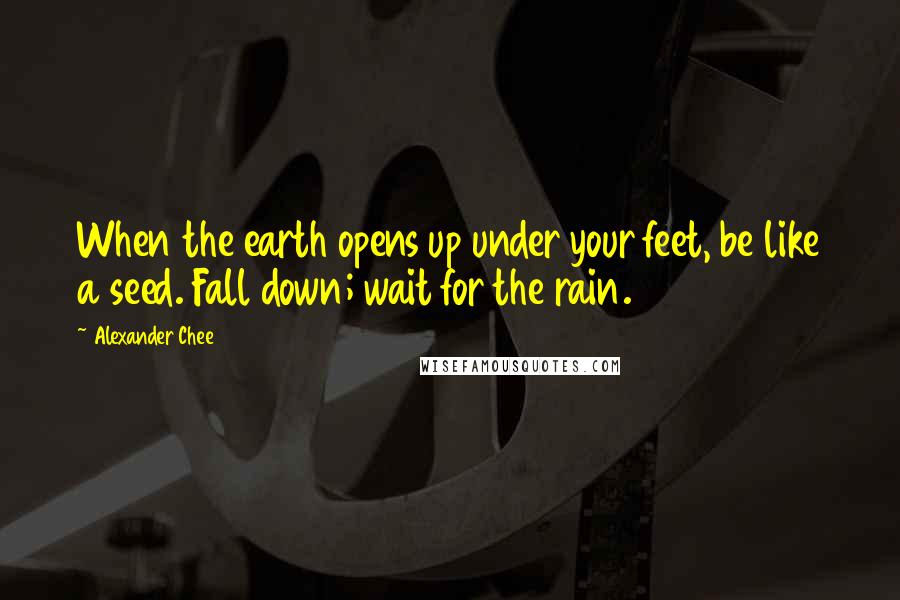Alexander Chee Quotes: When the earth opens up under your feet, be like a seed. Fall down; wait for the rain.