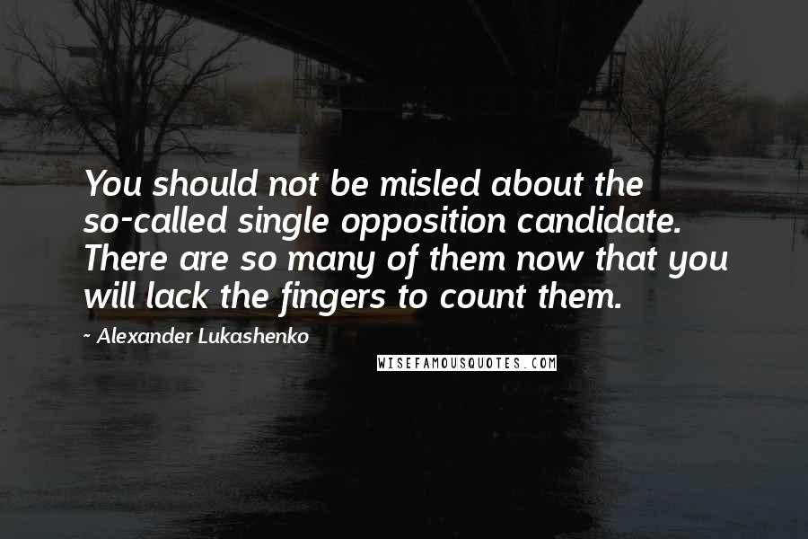 Alexander Lukashenko Quotes: You should not be misled about the so-called single opposition candidate. There are so many of them now that you will lack the fingers to count them.