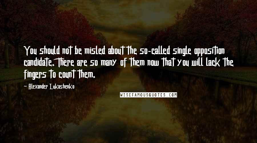 Alexander Lukashenko Quotes: You should not be misled about the so-called single opposition candidate. There are so many of them now that you will lack the fingers to count them.