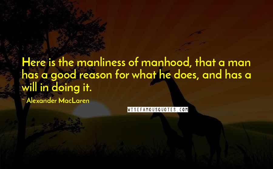 Alexander MacLaren Quotes: Here is the manliness of manhood, that a man has a good reason for what he does, and has a will in doing it.