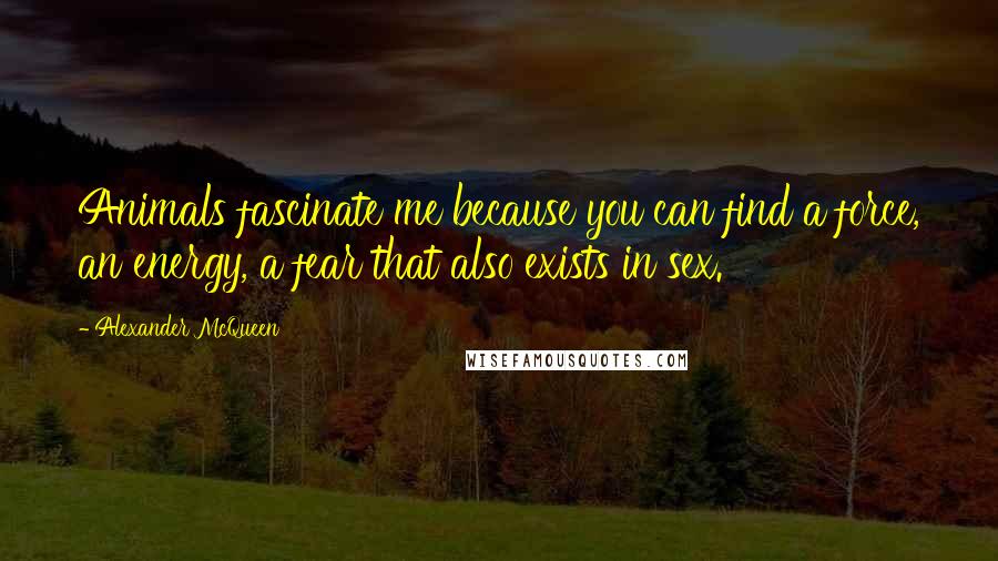 Alexander McQueen Quotes: Animals fascinate me because you can find a force, an energy, a fear that also exists in sex.