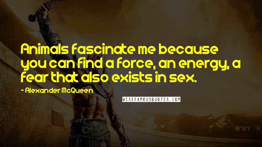 Alexander McQueen Quotes: Animals fascinate me because you can find a force, an energy, a fear that also exists in sex.