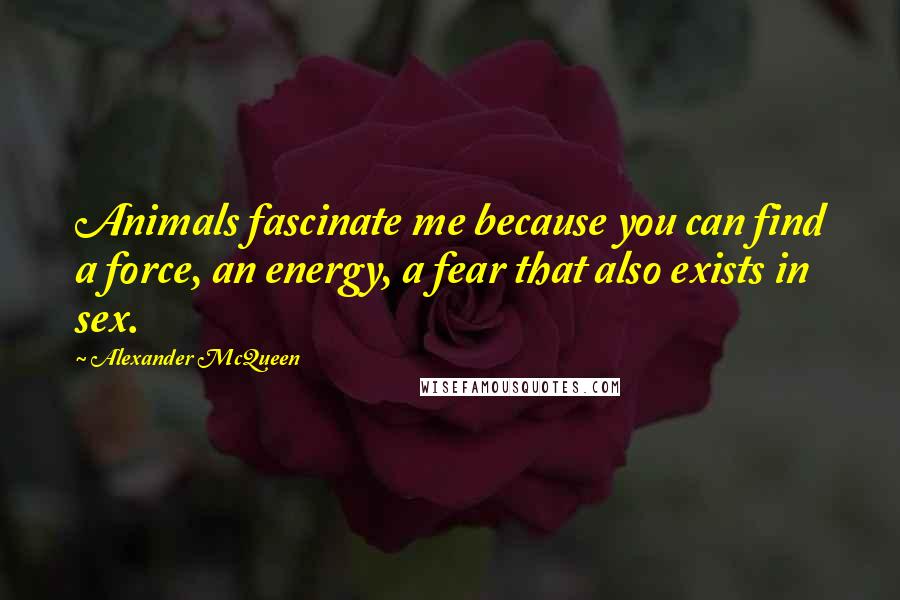 Alexander McQueen Quotes: Animals fascinate me because you can find a force, an energy, a fear that also exists in sex.