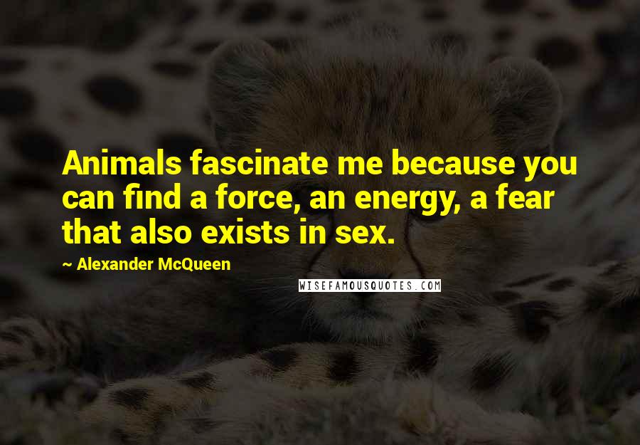 Alexander McQueen Quotes: Animals fascinate me because you can find a force, an energy, a fear that also exists in sex.