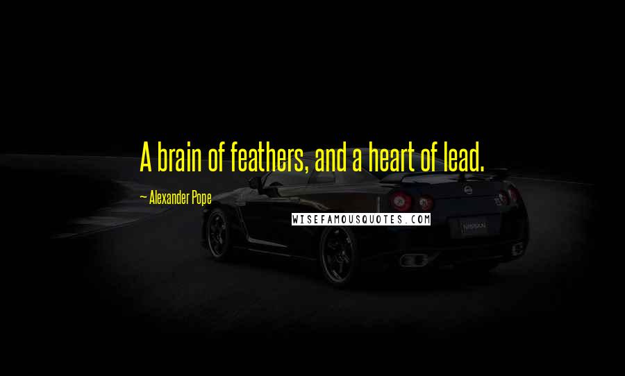 Alexander Pope Quotes: A brain of feathers, and a heart of lead.