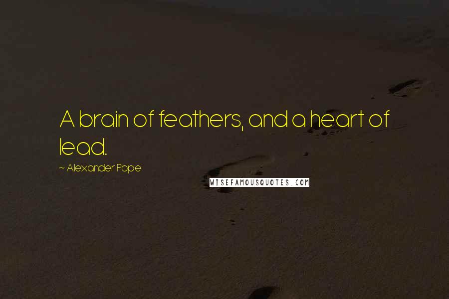 Alexander Pope Quotes: A brain of feathers, and a heart of lead.