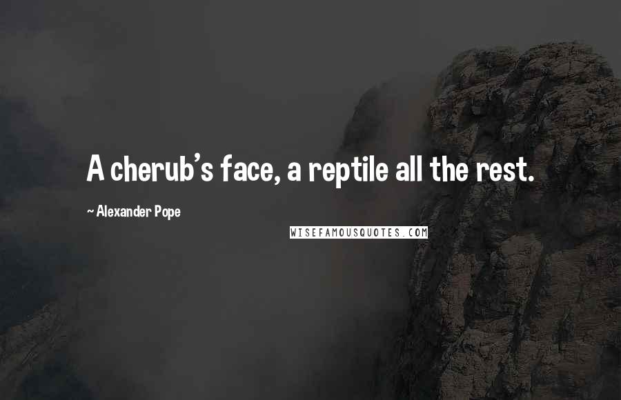 Alexander Pope Quotes: A cherub's face, a reptile all the rest.