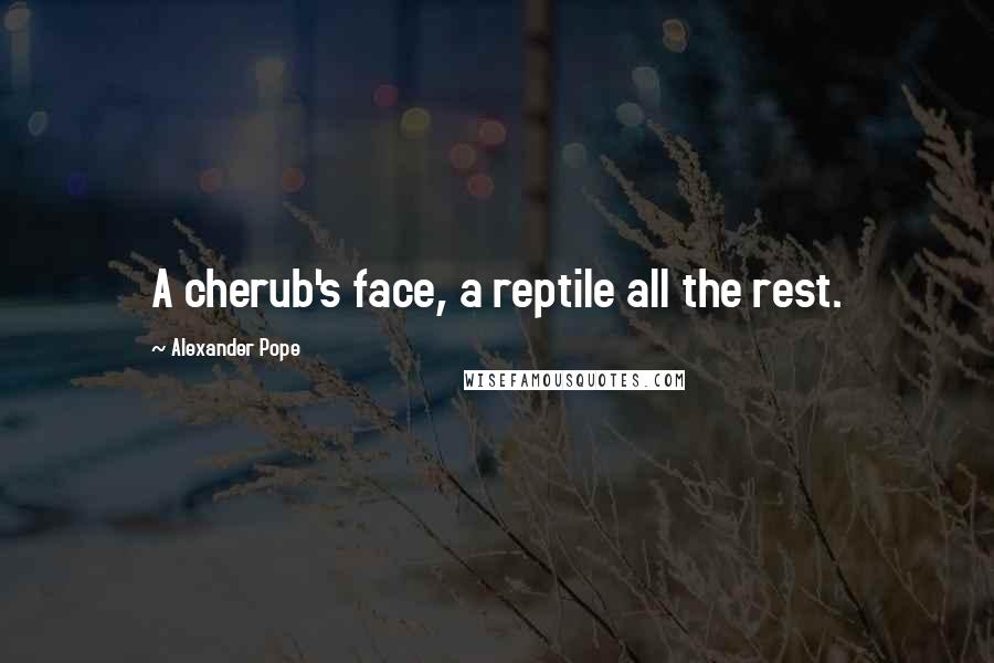 Alexander Pope Quotes: A cherub's face, a reptile all the rest.