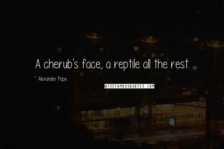 Alexander Pope Quotes: A cherub's face, a reptile all the rest.