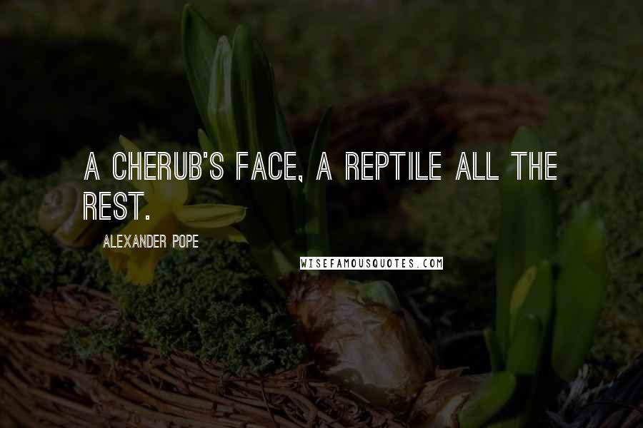 Alexander Pope Quotes: A cherub's face, a reptile all the rest.