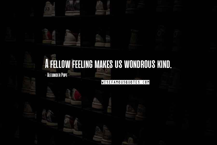 Alexander Pope Quotes: A fellow feeling makes us wondrous kind.
