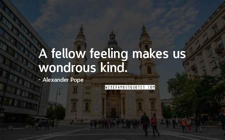 Alexander Pope Quotes: A fellow feeling makes us wondrous kind.