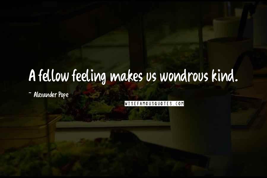 Alexander Pope Quotes: A fellow feeling makes us wondrous kind.