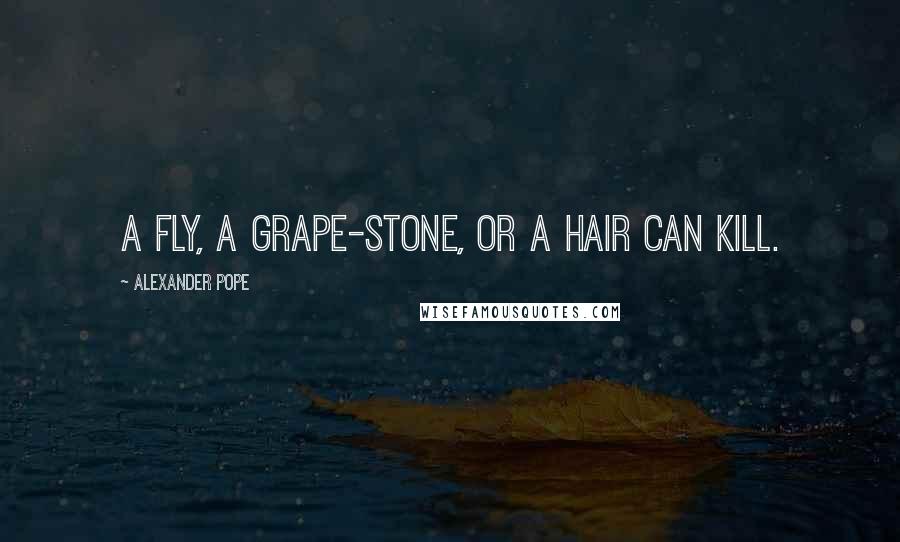 Alexander Pope Quotes: A fly, a grape-stone, or a hair can kill.