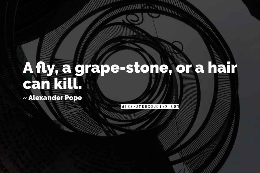 Alexander Pope Quotes: A fly, a grape-stone, or a hair can kill.