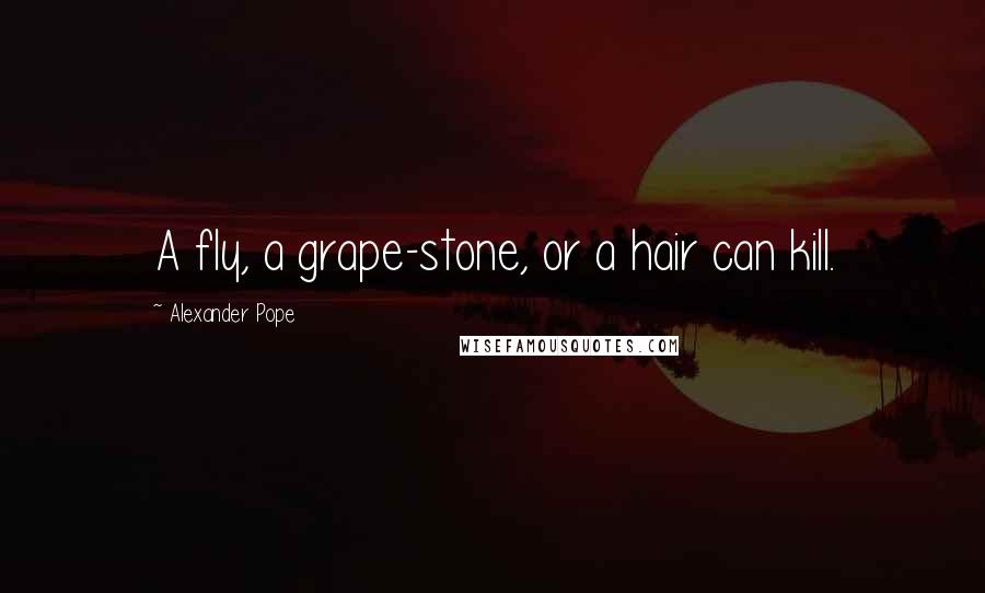 Alexander Pope Quotes: A fly, a grape-stone, or a hair can kill.
