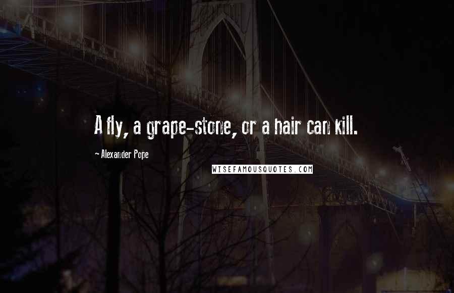 Alexander Pope Quotes: A fly, a grape-stone, or a hair can kill.