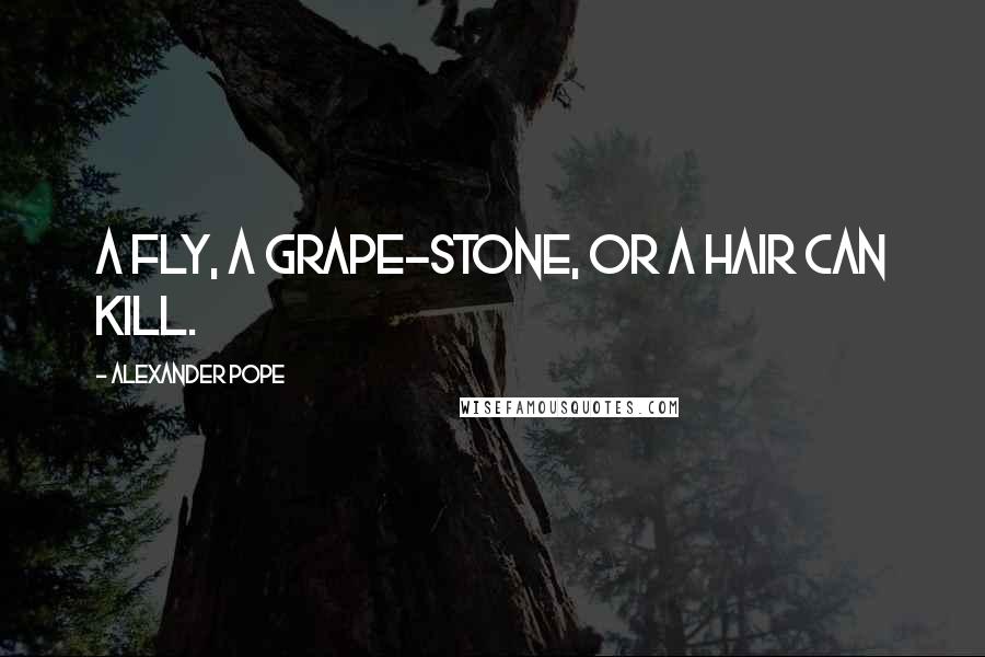 Alexander Pope Quotes: A fly, a grape-stone, or a hair can kill.