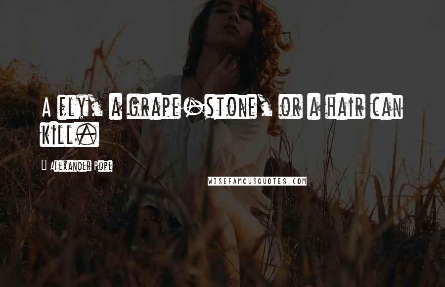 Alexander Pope Quotes: A fly, a grape-stone, or a hair can kill.