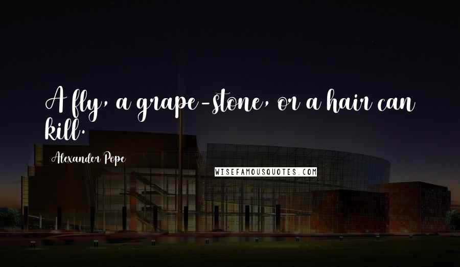 Alexander Pope Quotes: A fly, a grape-stone, or a hair can kill.