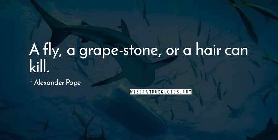 Alexander Pope Quotes: A fly, a grape-stone, or a hair can kill.
