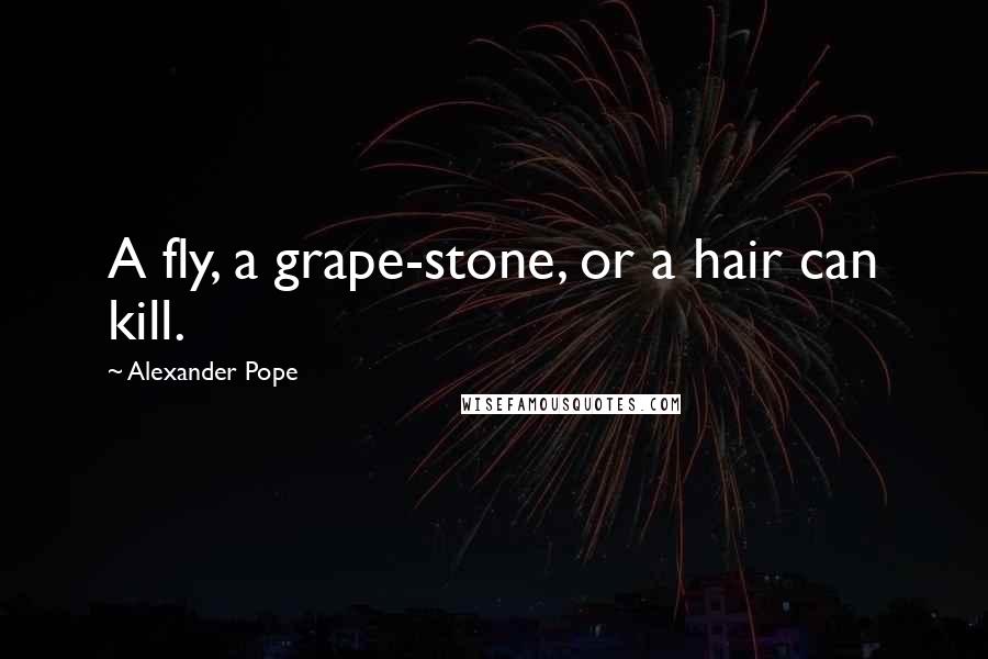 Alexander Pope Quotes: A fly, a grape-stone, or a hair can kill.