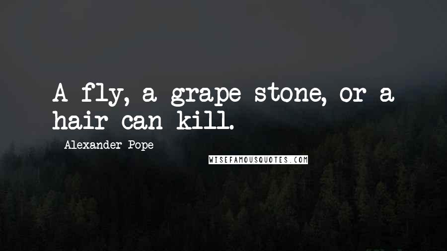 Alexander Pope Quotes: A fly, a grape-stone, or a hair can kill.