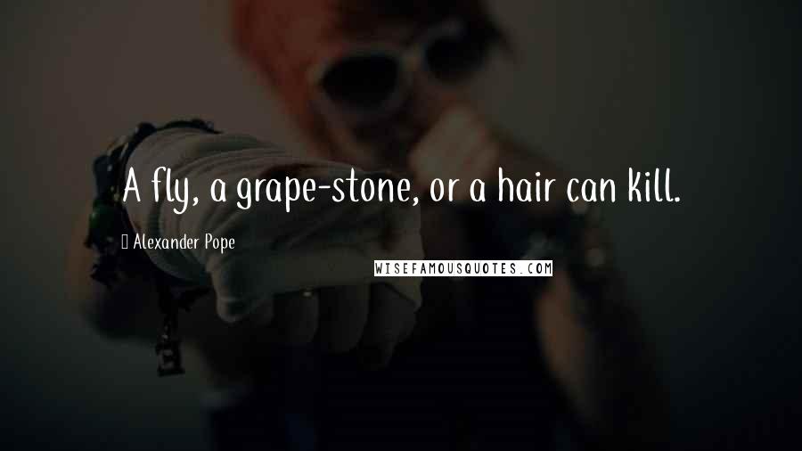 Alexander Pope Quotes: A fly, a grape-stone, or a hair can kill.