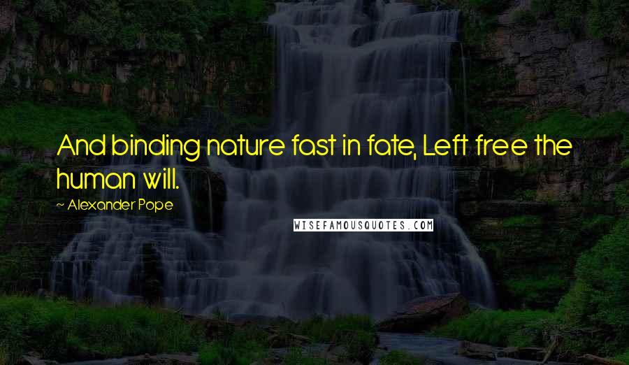 Alexander Pope Quotes: And binding nature fast in fate, Left free the human will.