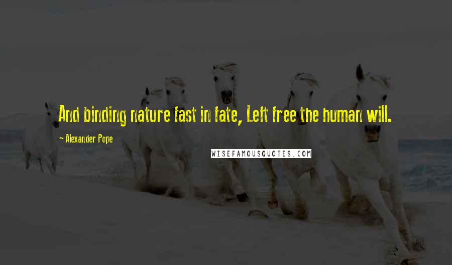 Alexander Pope Quotes: And binding nature fast in fate, Left free the human will.