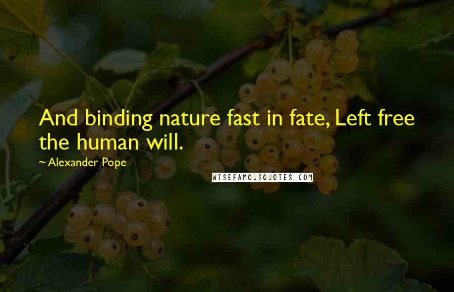 Alexander Pope Quotes: And binding nature fast in fate, Left free the human will.