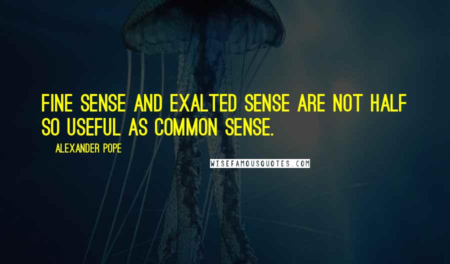 Alexander Pope Quotes: Fine sense and exalted sense are not half so useful as common sense.